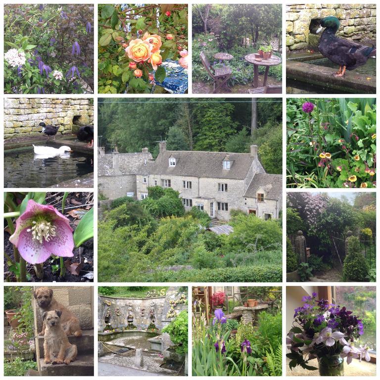Dove Cottage Bisley  Exteriér fotografie